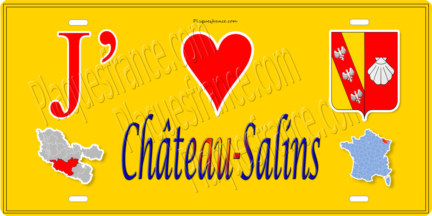 Plaque métal décorative 15 x 30 cm fond jaune carte J' ❤️ Château-Salins, canton du Saulnois Moselle 57