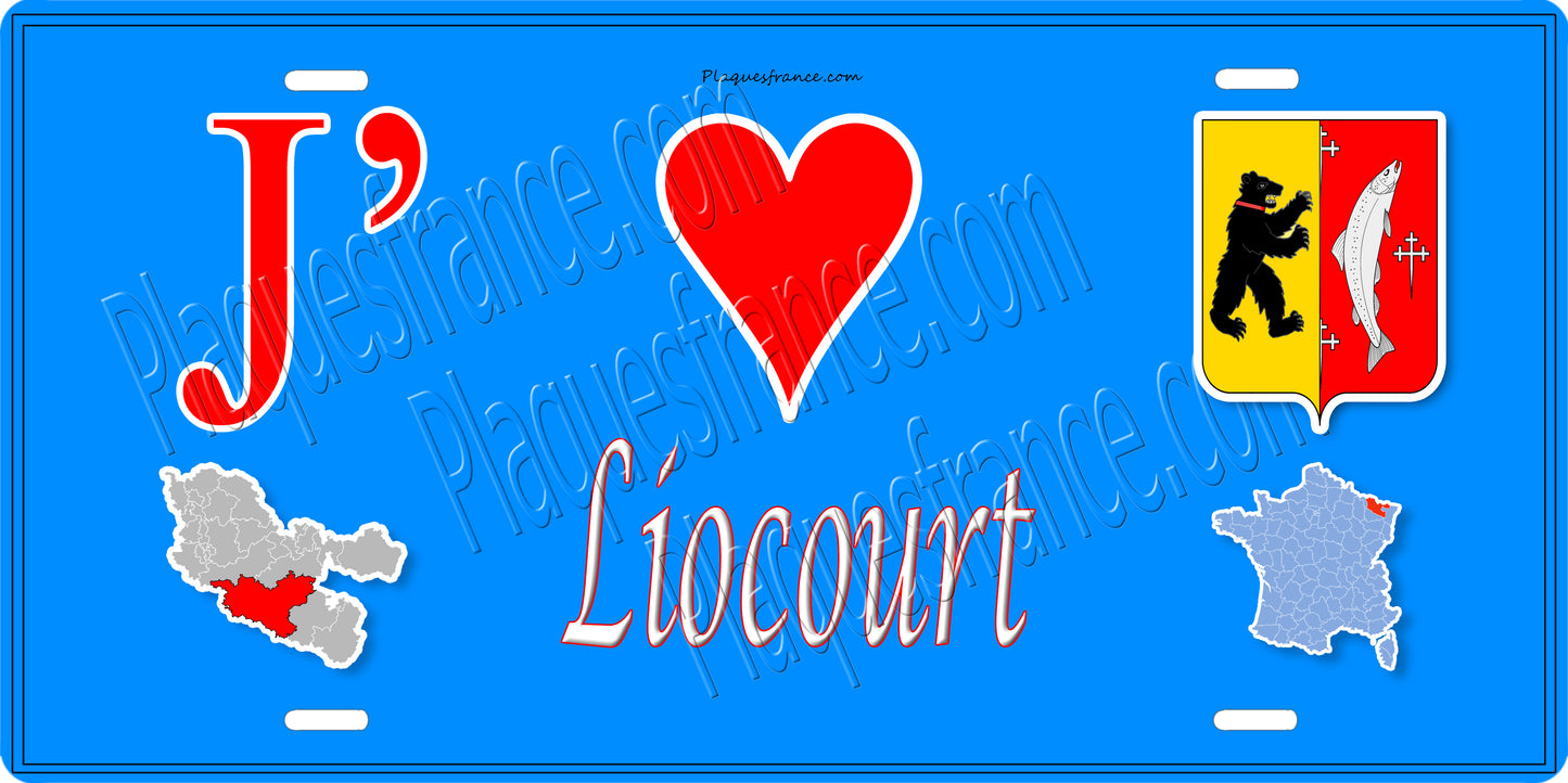 Plaque métal décorative 15 x 30 cm fond bleu carte J' ❤️Liocourt, canton du Saulnois Moselle 57