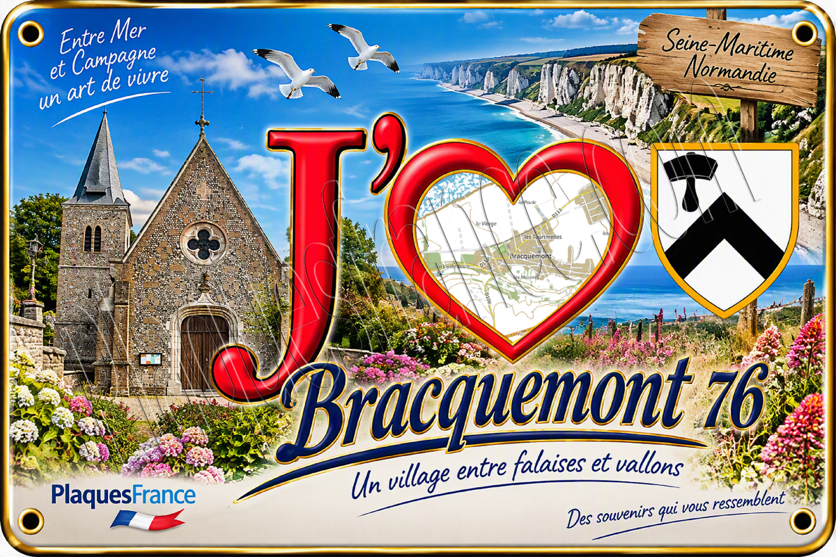 Pack de 20 plaques identiques Bracquemont
