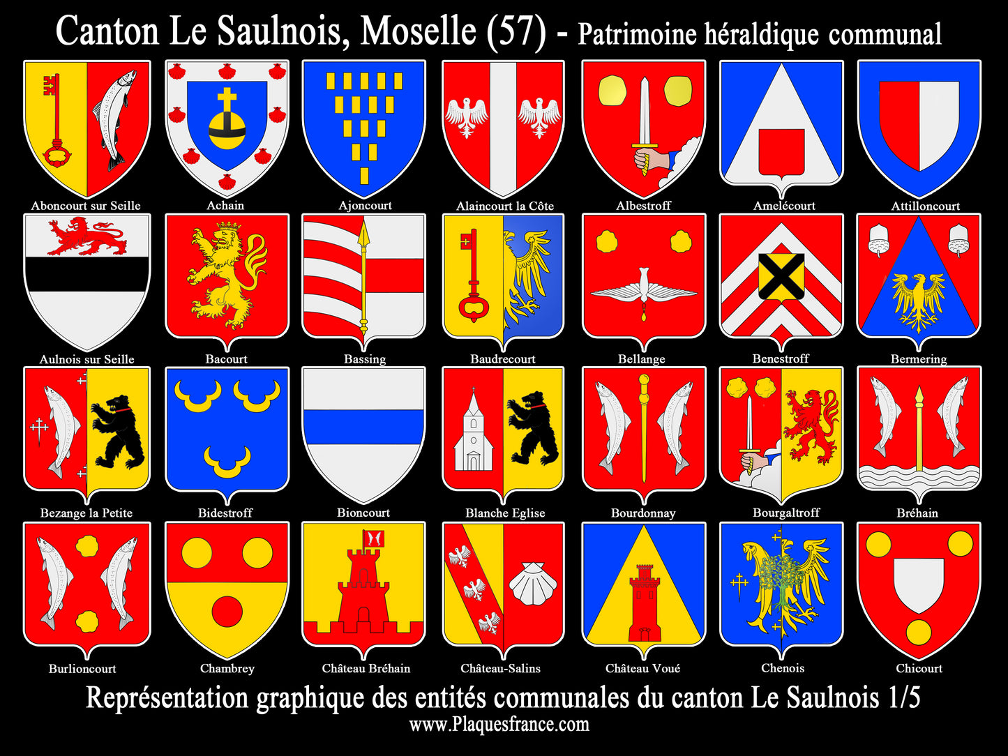 Plaque métal décorative Collector planche 1/5 Canton du Saulnois Moselle 57
