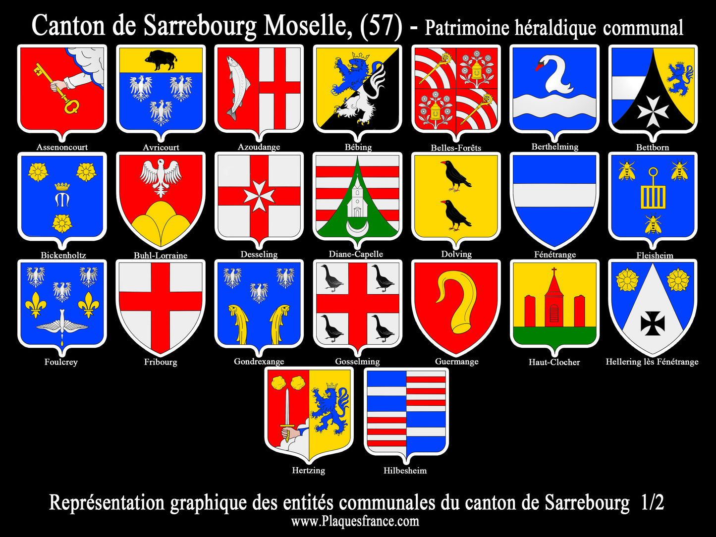 Plaque métal décorative Collector planche 1/2 Canton de Sarrebourg Moselle 57