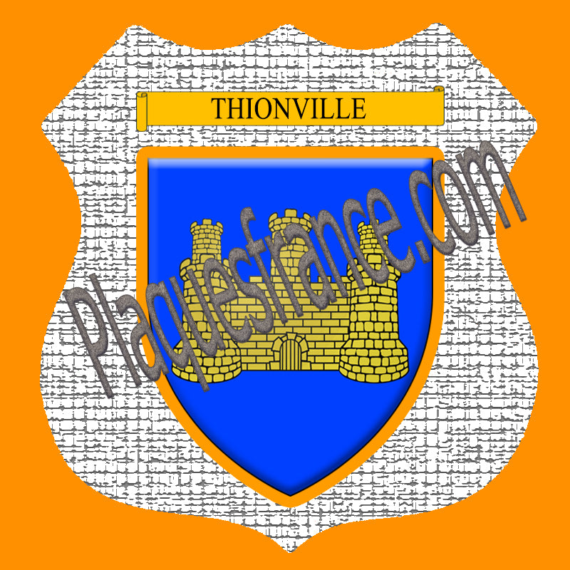 Plaque métal décorative format écusson Ø 30cm fond craquelures Thionville, Moselle 57