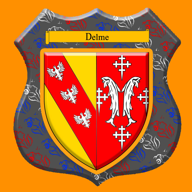 Plaque métal décorative format écusson Ø 30cm fond marianne blason Delme, Moselle 57