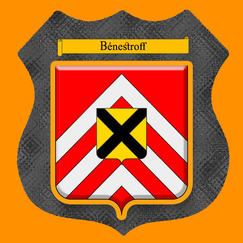 Plaque métal décorative format écusson Ø 30cm fond métal+verre blason Bénestroff, Moselle 57