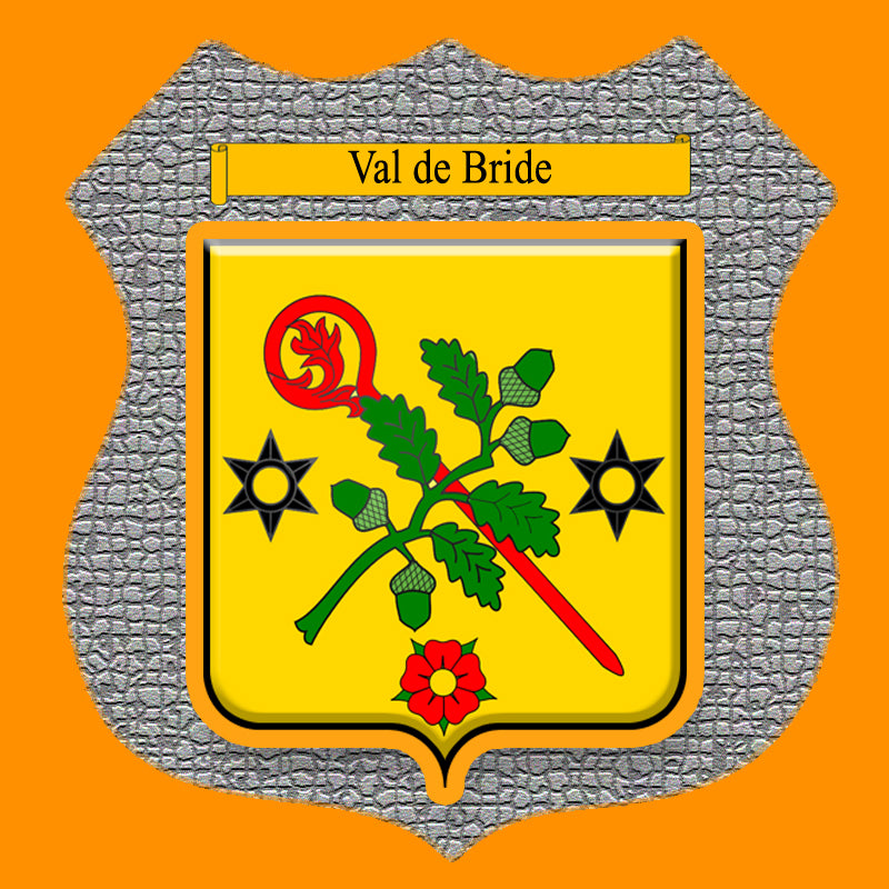 Plaque métal décorative format écusson Ø 30cm fond mozaique blason Val de Bride, Moselle 57
