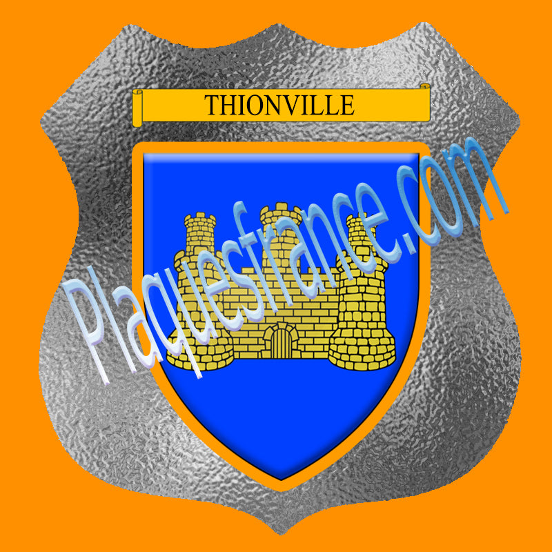 Plaque métal décorative format écusson Ø 30cm fond verre dépoli Thionville, Moselle 57