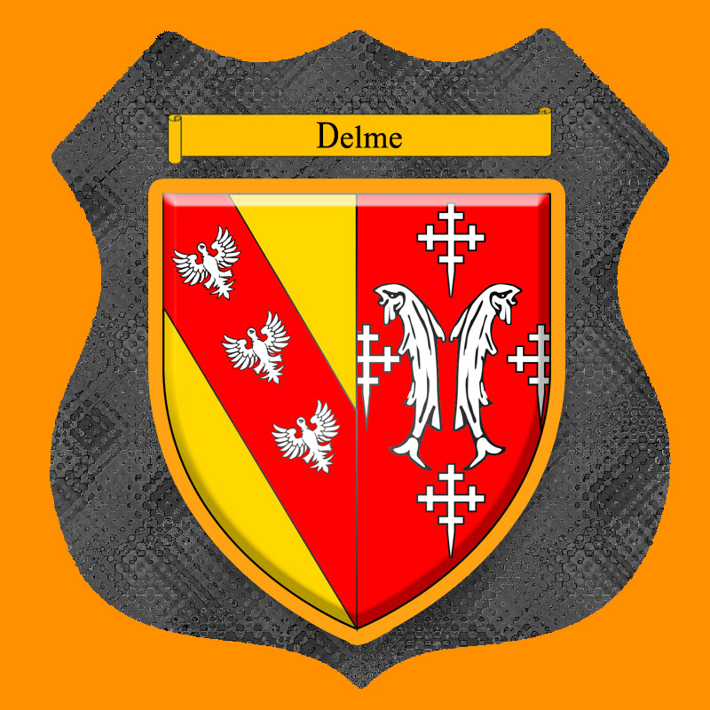 Plaque métal décorative format écusson Ø 30cm fond verre+métal blason Delme, Moselle 57