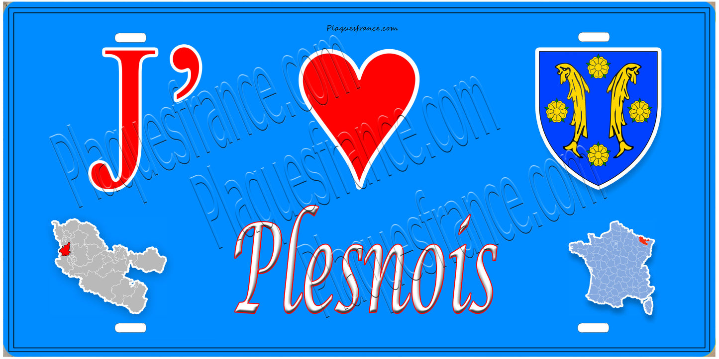 Plaque métal décorative 15 x 30 cm fond mur bleu carte J' ❤️Plesnois , canton Rombas 57