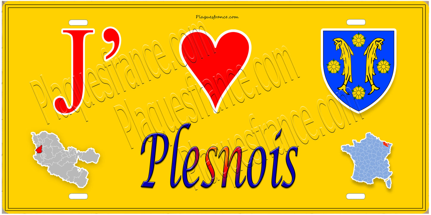 Plaque métal décorative 15 x 30 cm fond mur jaune carte J' ❤️Plesnois , canton Rombas 57