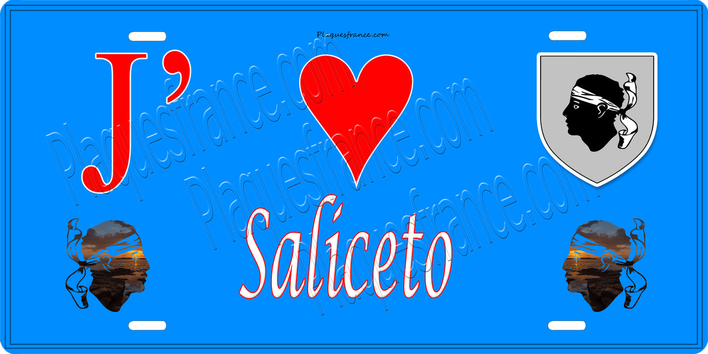Plaque métal décorative 15 x 30 cm bleu J' ❤️ Saliceto Canton de Golo-Morosaglia Haute-Corse