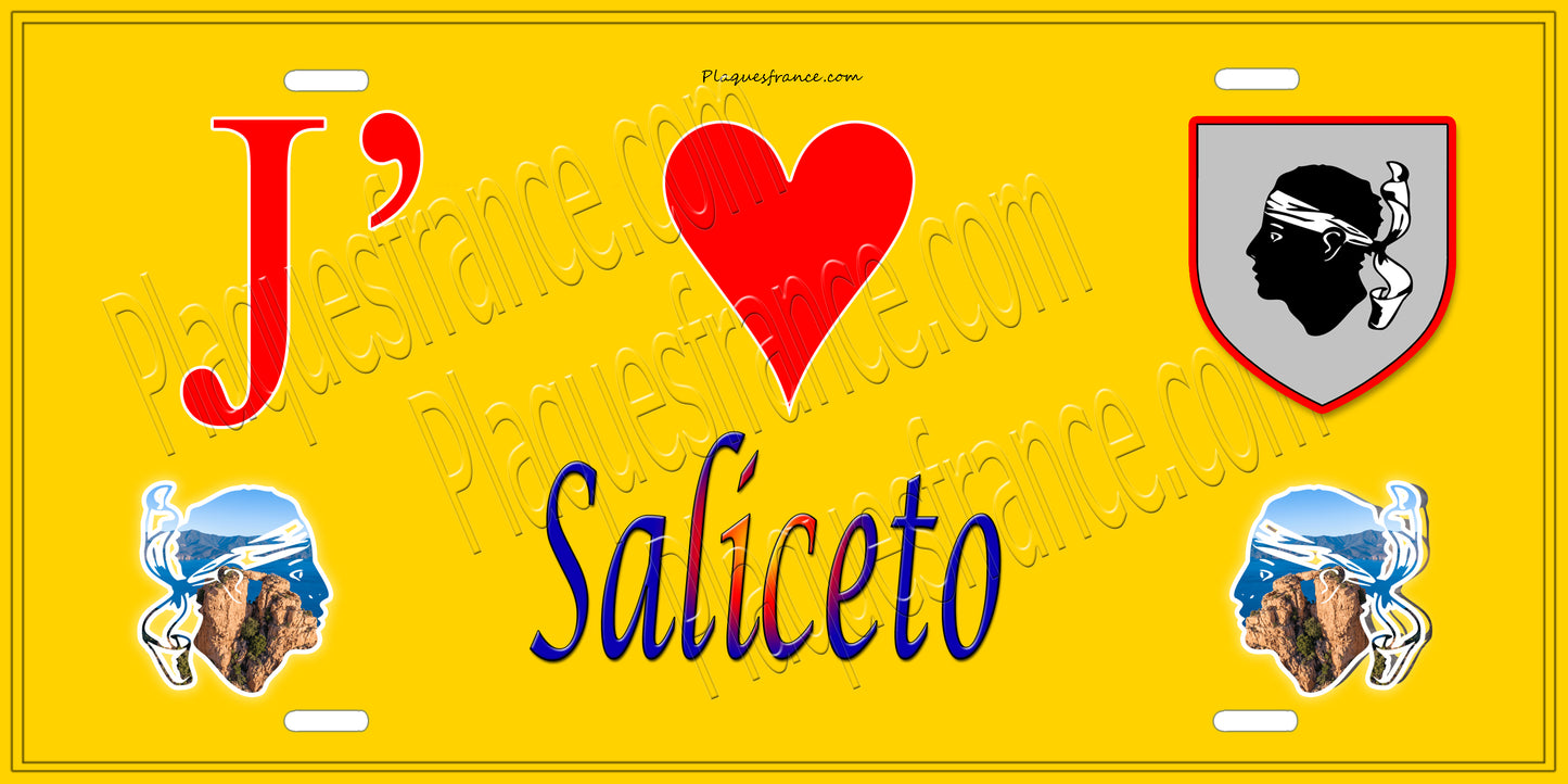 Plaque métal décorative 15 x 30 cm jaune J' ❤️ Saliceto Canton de Golo-Morosaglia Haute-Corse