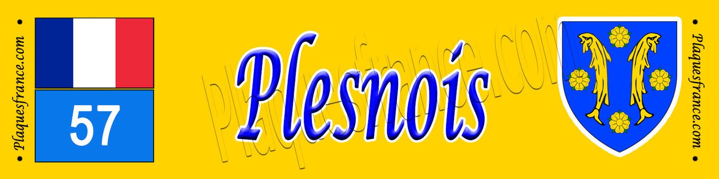 Plaque métal décorative 10 x 40 Plesnois 57