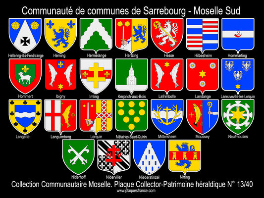 Communauté de communes de Sarrebourg - Moselle Sud 2/3