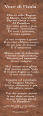 Plaque métal décorative 10 × 40 cm – fond papier foncé – Dio vi salvi Regina – hymne traditionnel corse