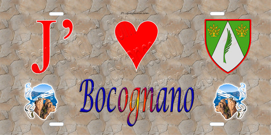 Plaque métal décorative 15 x 30 cm mur antique J' ❤️ Bocognano canton du Gravona-Prunelli  Corse du Sud