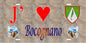 Plaque métal décorative 15 x 30 cm mur antique J' ❤️ Bocognano canton du Gravona-Prunelli  Corse du Sud
