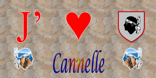 Plaque métal décorative 15 x 30 cm mur antique J' ❤️ Cannelle Canton de Sevi-Sorru-Cinarca Corse du Sud