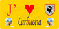 Plaque métal décorative 15 x 30 cm jaune J' ❤️ Carbuccia canton du Gravona-Prunelli  Corse du Sud