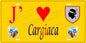 Plaque métal décorative 15 x 30 cm jaune J' ❤️ Cargiaca canton du Sartenais-Valinco  Corse du Sud - Plaquesfrance.com