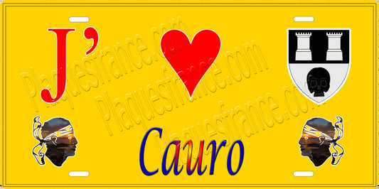 Plaque métal décorative 15 x 30 cm jaune J' ❤️ Cauro  canton de Taravo-Ornano Corse du Sud