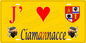 Plaque métal décorative 15 x 30 cm jaune J' ❤️ Ciamannacce  canton de Taravo-Ornano Corse du Sud