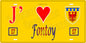 Plaque métal décorative 15 x 30 cm fond mur jaune 57 J' ❤️ Fontoy, canton Algrange Moselle 57