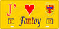 Plaque métal décorative 15 x 30 cm fond  jaune J' ❤️ Fontoy Canton de Algrange Moselle 57
