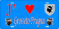 Plaque métal décorative 15 x 30 cm bleu J' ❤️ Grosseto-Prugna  canton de Taravo-Ornano Corse du Sud