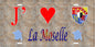 Plaque métal décorative 15x 30 cm fond mur antique J'❤️ la Moselle 57