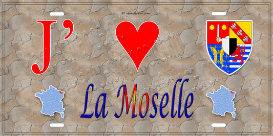 Plaque métal décorative 15x30cm mur antique J' ❤️la Moselle carte France
