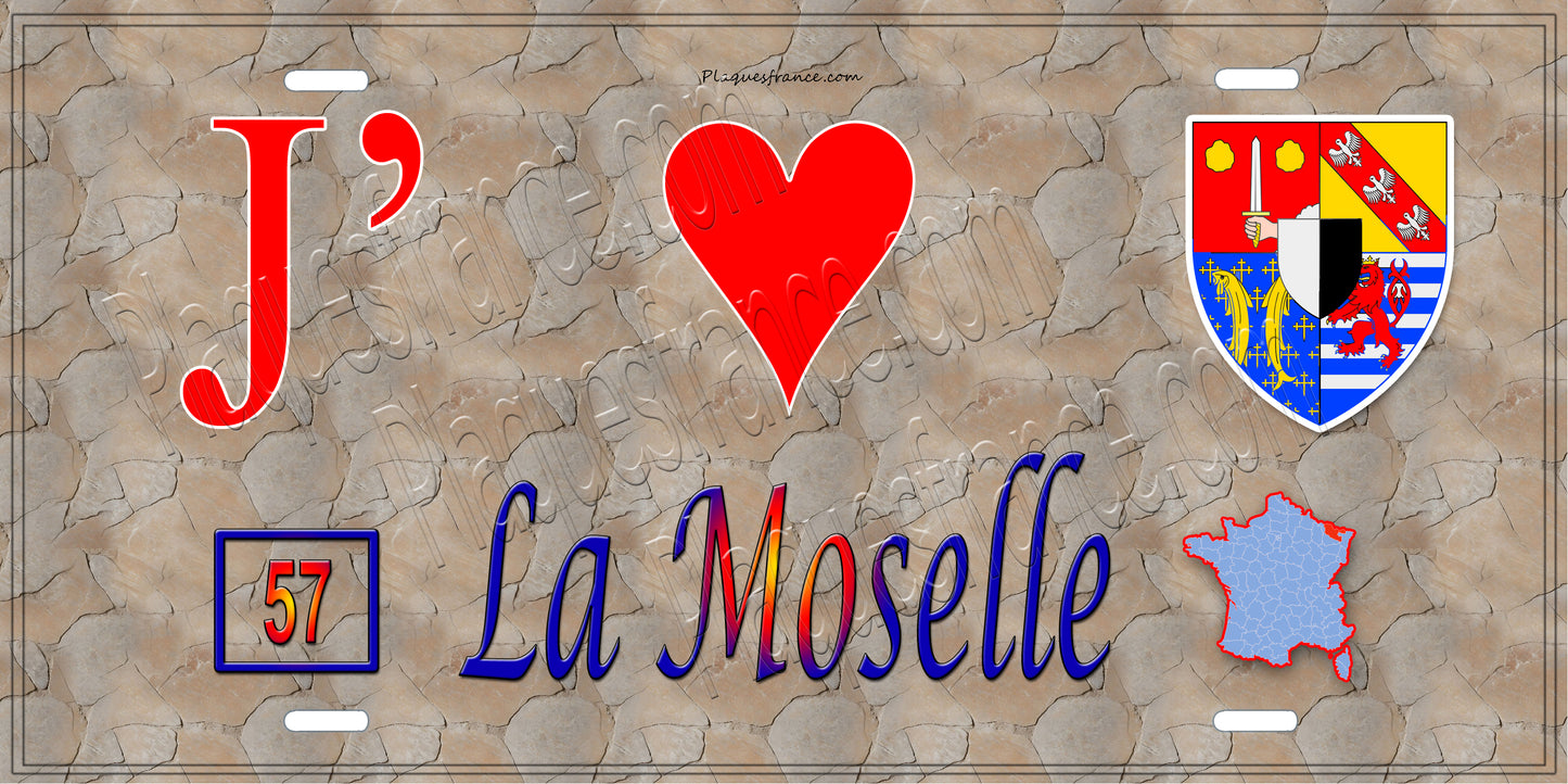 Plaque métal décorative 15x30cm fond mur antique J' ❤️la Moselle 57+carte