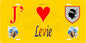 Plaque métal décorative 15 x 30 cm jaune J' ❤️ Levie canton du Grand-Sud  Corse du Sud