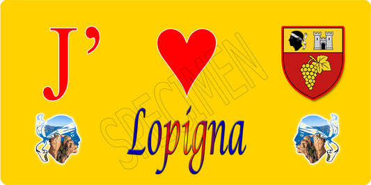 Blason Lopigna