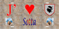 Plaque métal décorative 15 x 30 cm mur antique J' ❤️ Sotta canton du Grand-Sud  Corse du Sud