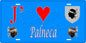 Plaque métal décorative 15 x 30 cm bleu J' ❤️ Palneca  canton de Taravo-Ornano Corse du Sud