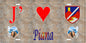 Plaque métal décorative 15 x 30 cm mur antique J' ❤️ Piana Canton de Sevi-Sorru-Cinarca Corse du Sud