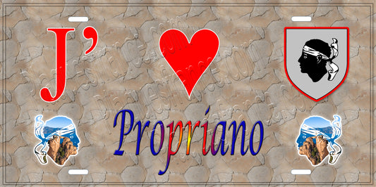 Plaque métal décorative 15 x 30 cm mur antique J' ❤️ Propriano canton du Sartenais-Valinco  Corse du Sud