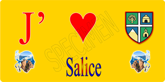 Blason Salice