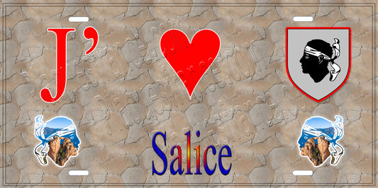 Plaque métal décorative 15 x 30 cm mur antique J' ❤️ Salice Canton de Sevi-Sorru-Cinarca Corse du Sud