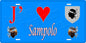 Plaque métal décorative 15 x 30 cm bleu J' ❤️ Sampolo  canton de Taravo-Ornano Corse du Sud
