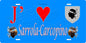 Plaque métal décorative 15 x 30 cm bleu J' ❤️ Sarrola Carcopino canton de Gravona-Prunelli  Corse du Sud