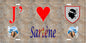 Plaque métal décorative 15 x 30 cm mur antique J' ❤️ Sartène canton du Sartenais-Valinco  Corse du Sud