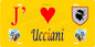 Plaque métal décorative 15 x 30 cm jaune J' ❤️ Ucciani canton du Gravona-Prunelli  Corse du Sud