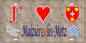 Plaque métal décorative 15 x 30 cm fond mur antique carte J' ❤️ Maizières-lès-Metz, canton Le Sillon Mosellan Moselle 57