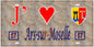 Plaque métal décorative 15 x 30 cm fond  mur antique 57 J' ❤️Ars sur Moselle, canton Les Coteaux de Moselle  57