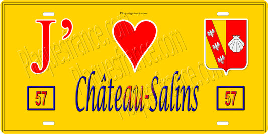Plaque métal décorative 15 x 30 cm fond jaune 57 J' ❤️ Château-Salins, canton du Saulnois Moselle 57
