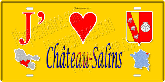 Plaque métal décorative 15 x 30 cm fond jaune carte J' ❤️ Château-Salins, canton du Saulnois Moselle 57