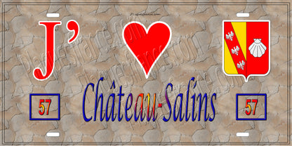 Plaque métal décorative 15 x 30 cm mur antique 57 J' ❤️ Château-Salins, canton du Saulnois Moselle 57