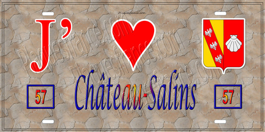 Plaque métal décorative 15 x 30 cm mur antique 57 J' ❤️ Château-Salins, canton du Saulnois Moselle 57