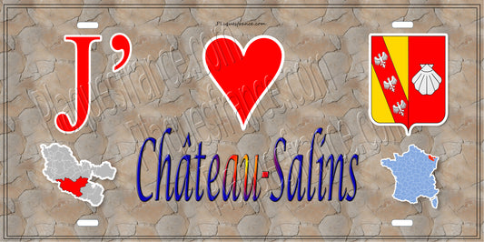 Plaque métal décorative 15 x 30 cm mur antique carte J' ❤️ Château-Salins, canton du Saulnois Moselle 57